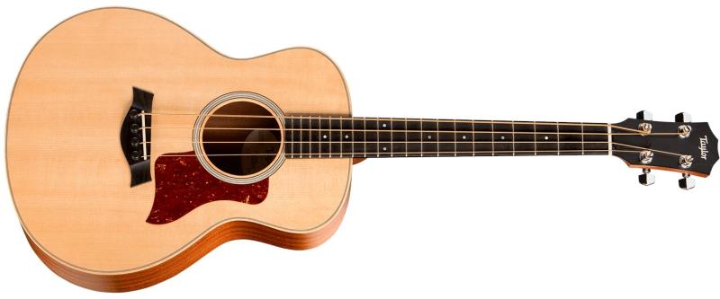 Taylor Gs Mini Sideways