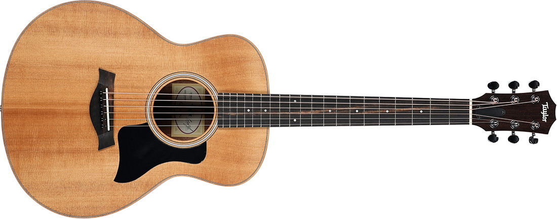 Taylor Gs Mini Full