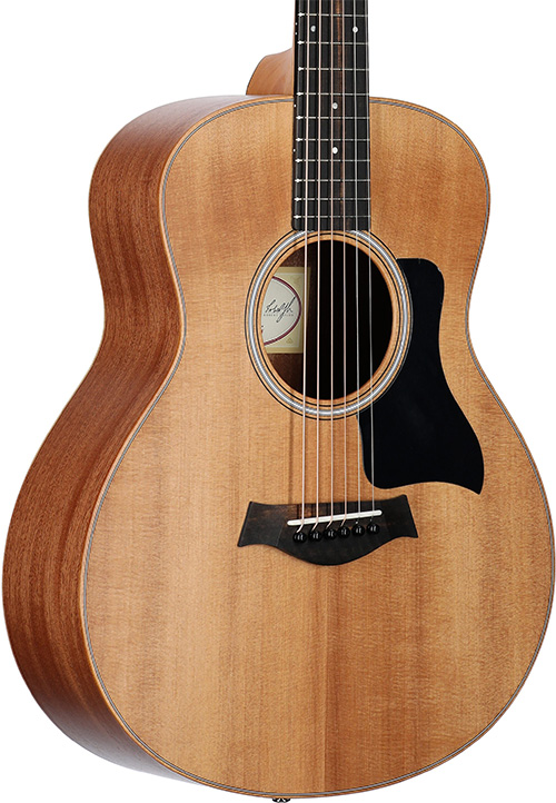Taylor Gs Mini